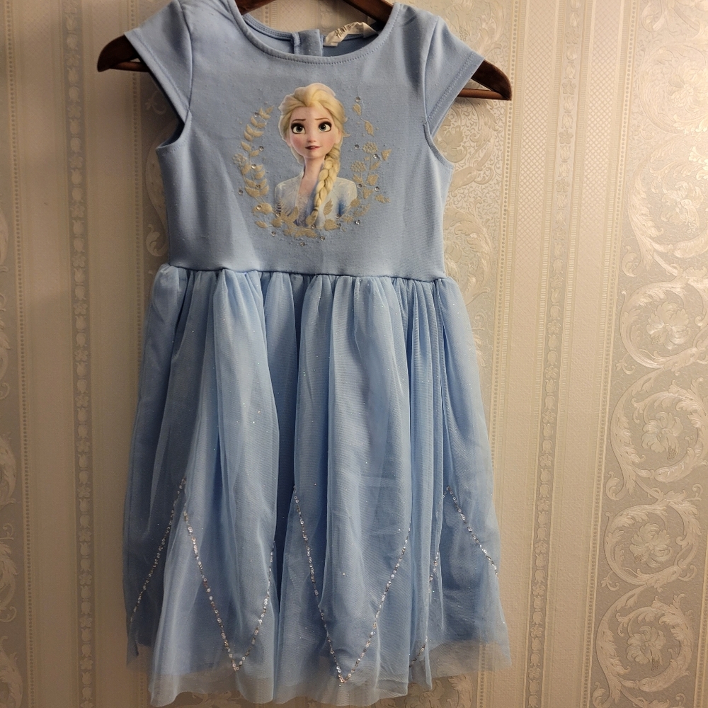 Frozen dress